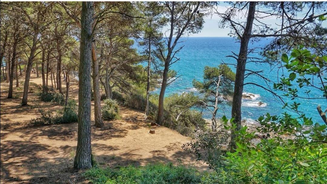 Seahomes Vacations, Beach&Pool, In Fenals Beach Lloret de Mar Kültér fotó